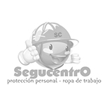 diseño web mi segucentro